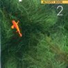 HOPSCOTCH  2 - ACTIVITY BOOK