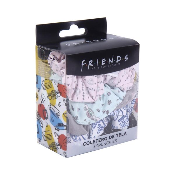 Стегач за коса сет од 5, Friends