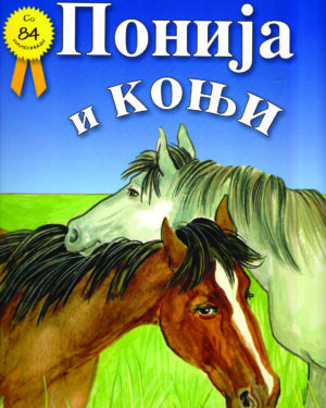 ПОНИЈА И КОЊИ