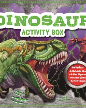 Dinosaur Activity Box