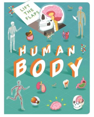 Сликовница Discovery LTF Lift The Flaps: Human Body