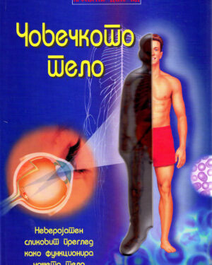 Човечкото тело