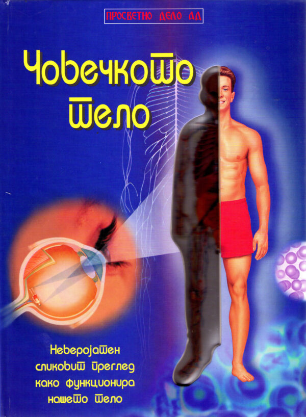 Човечкото тело