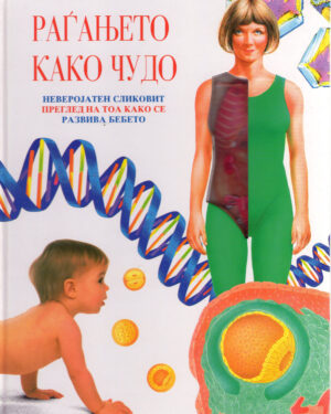 ЧУДО НА РАЃАЊЕТО 52642
