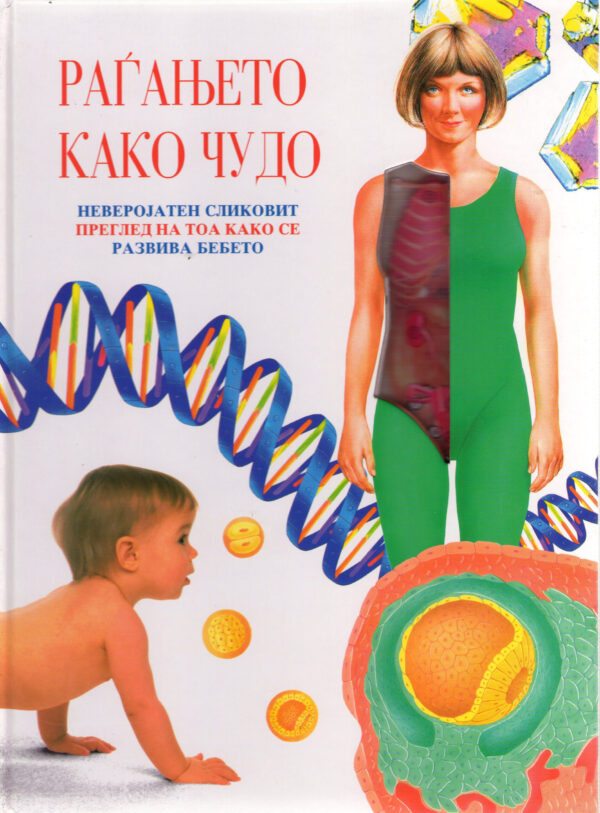 ЧУДО НА РАЃАЊЕТО 52642