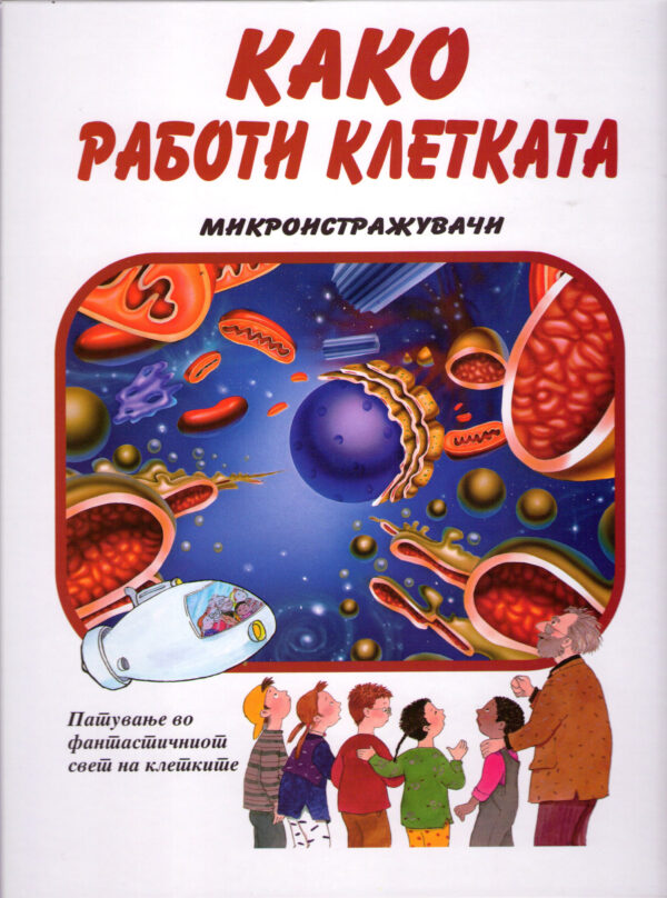 Како У го определува машкото бебе