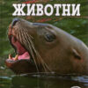 Морски животни - чудесниот свет на животните