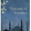Копилето од Истанбул – Елиф Шафак