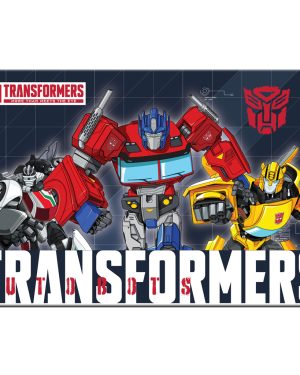 Подметач, пластика, Transformer