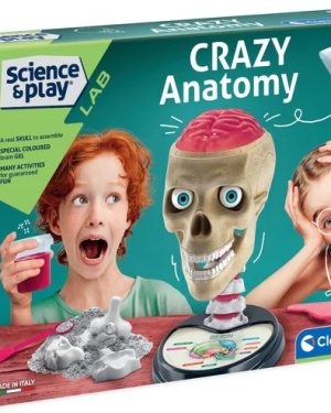 Едукативна лабораторија, анатомија на череп