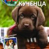 КУЧЕНЦА
