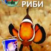 РИБИ
