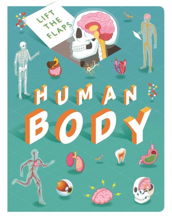 Сликовница Discovery LTF Lift The Flaps: Human Body