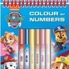 Боенка со активности Paw Patrol Colour By Numbers