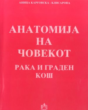 АНАТОМИЈА НА ЧОВЕКОТ - РАКА И ГРАДЕН КОШ