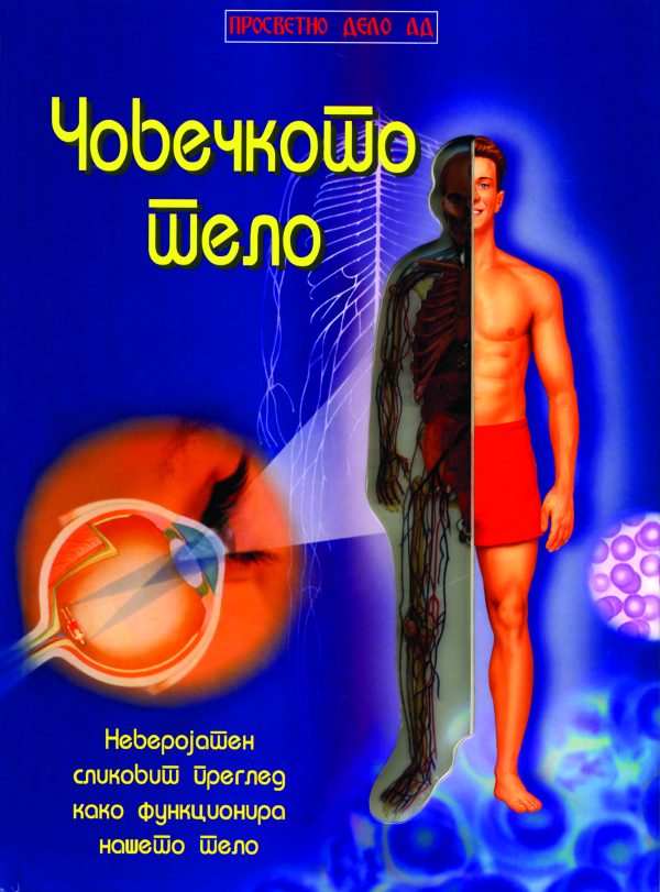 Човечкото тело