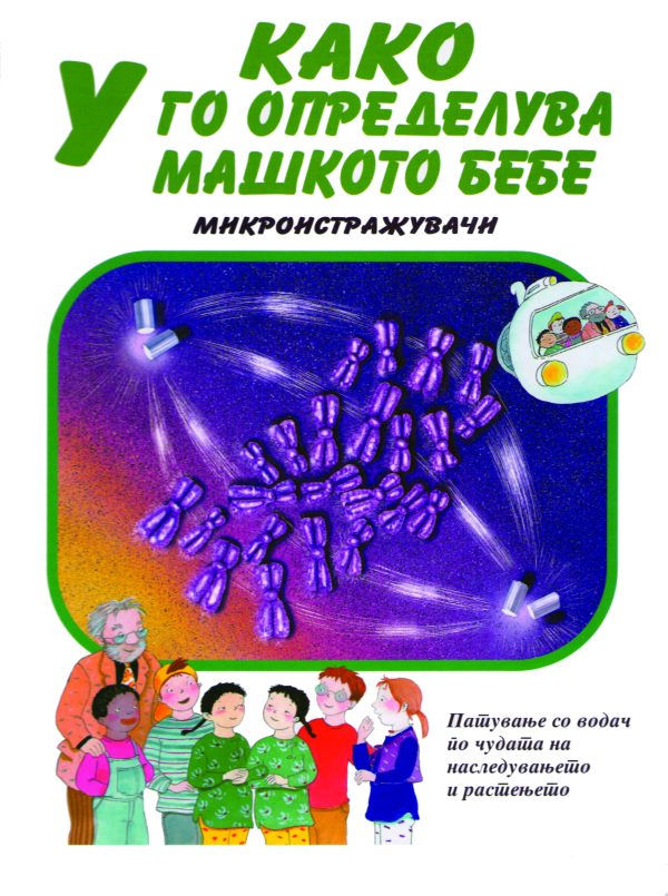 Како У го определува машкото бебе