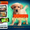 МОЕТО СОВРШЕНО КУЧЕНЦЕ
