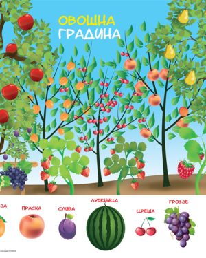 Постер „Овошна градина“