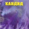 Кандид – II година