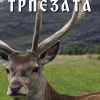 Дивеч на трпезата