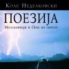 Поезија, Коле Неделковски - средно