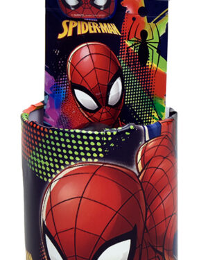 Сет Училиштен прибор Spiderman