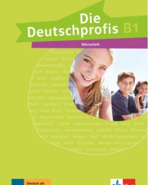 Die Deutschprofis B1